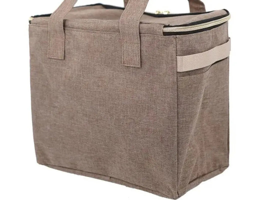 Snoopy Insulated Lunch Tote Bag | Large Capacity Multi-Pocket Cooler